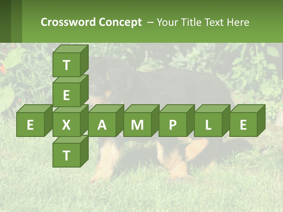 Sky Buy Human Hand PowerPoint Template