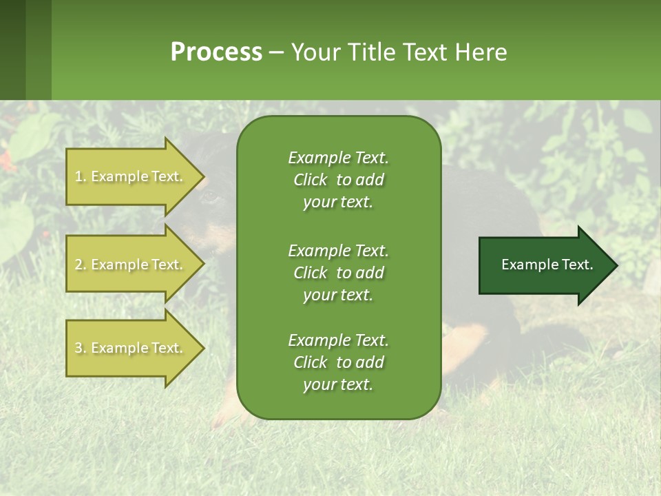Sky Buy Human Hand PowerPoint Template