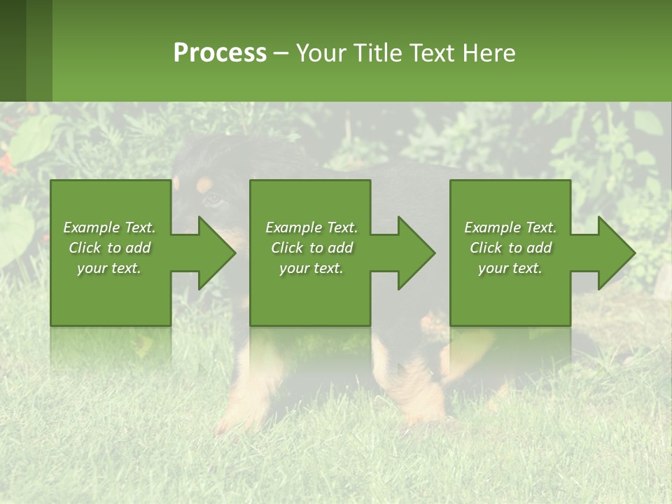 Sky Buy Human Hand PowerPoint Template