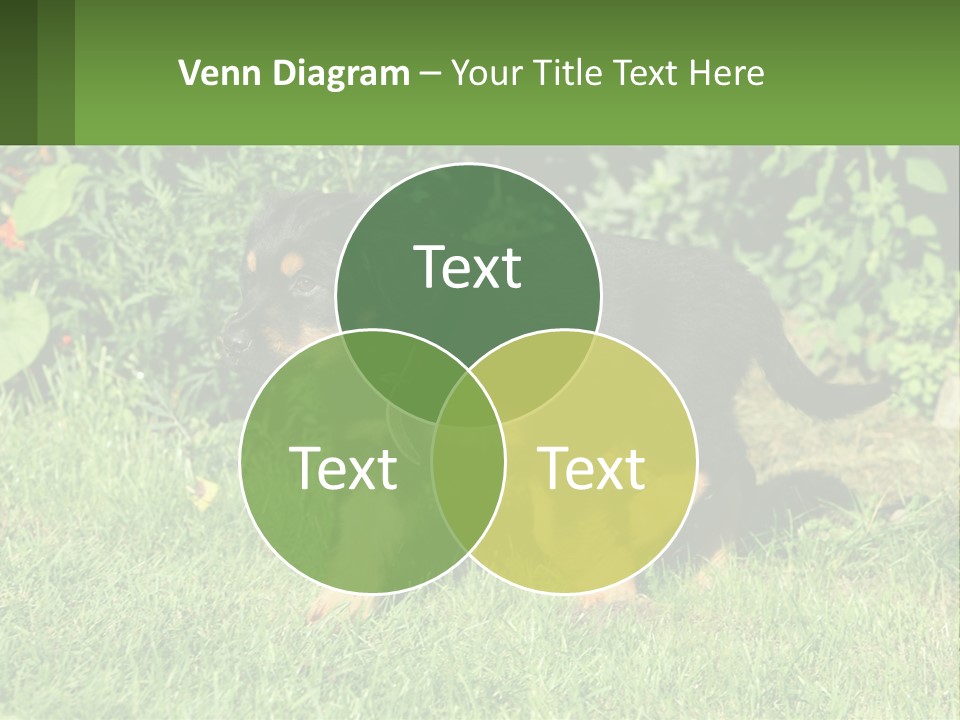 Sky Buy Human Hand PowerPoint Template