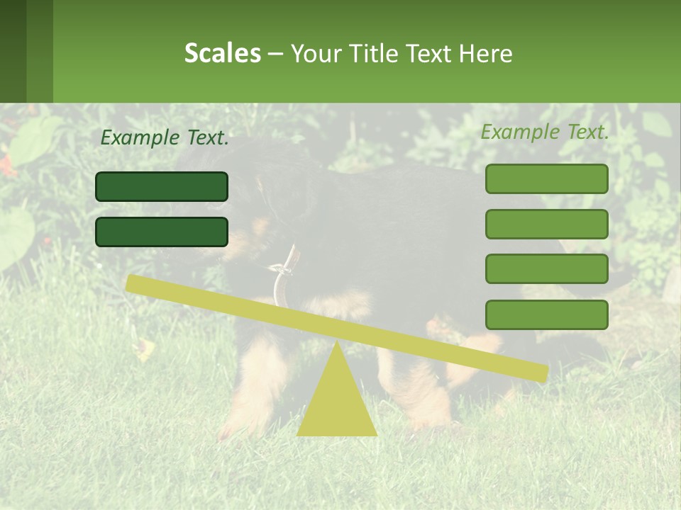 Sky Buy Human Hand PowerPoint Template