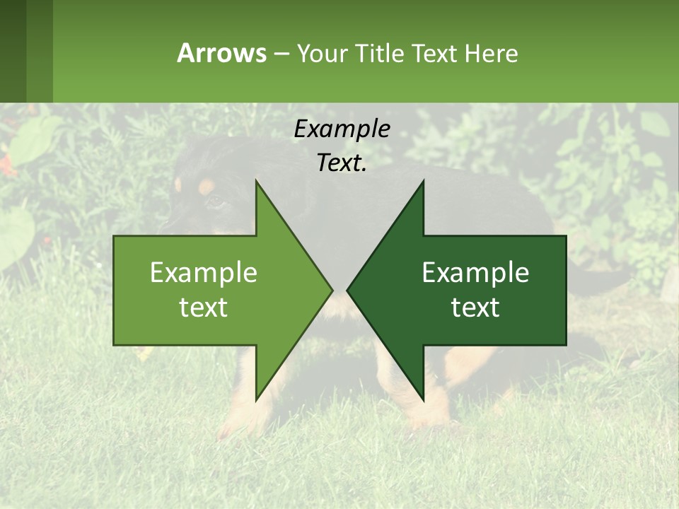 Sky Buy Human Hand PowerPoint Template