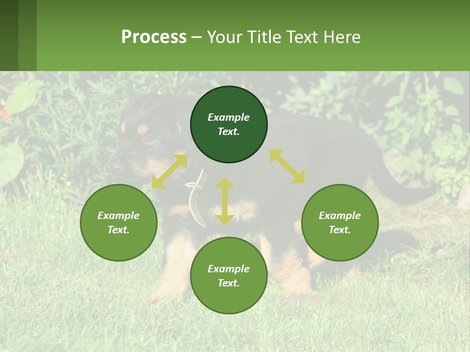 Sky Buy Human Hand PowerPoint Template