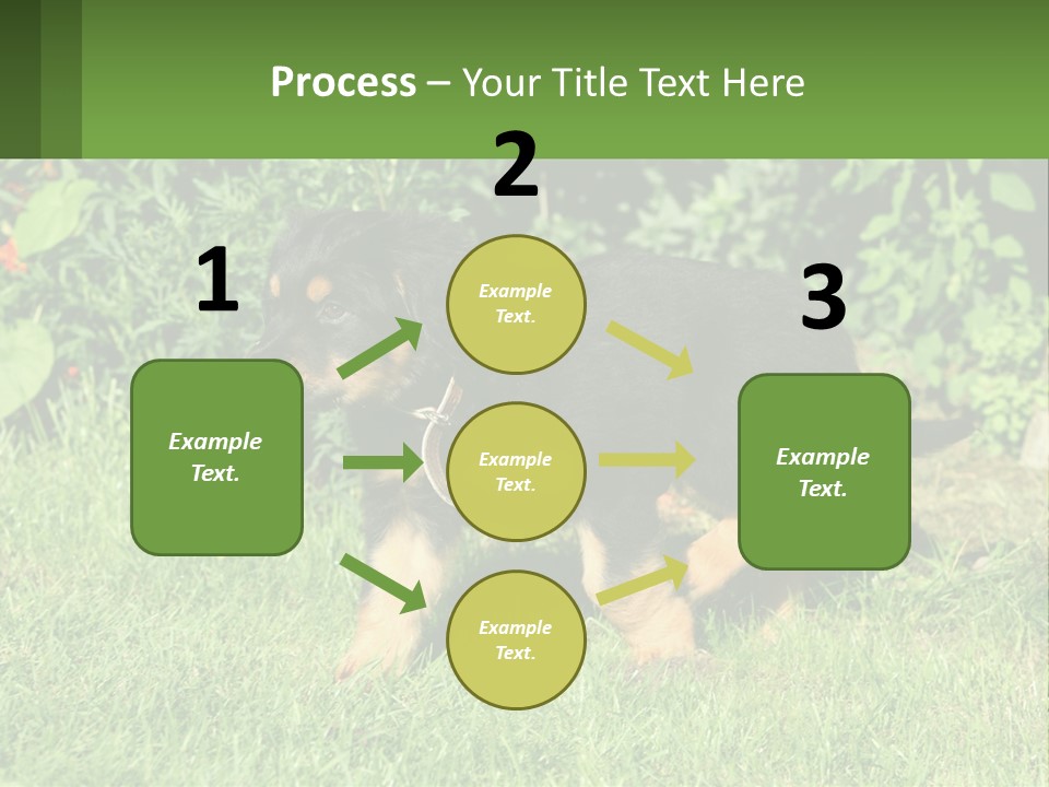 Sky Buy Human Hand PowerPoint Template