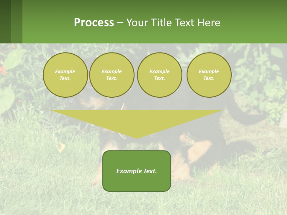 Sky Buy Human Hand PowerPoint Template