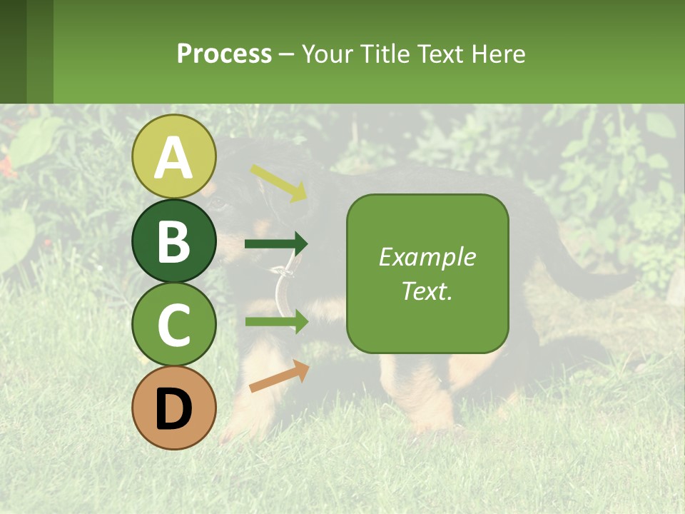Sky Buy Human Hand PowerPoint Template