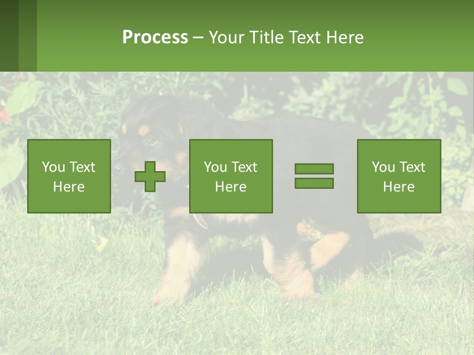 Sky Buy Human Hand PowerPoint Template