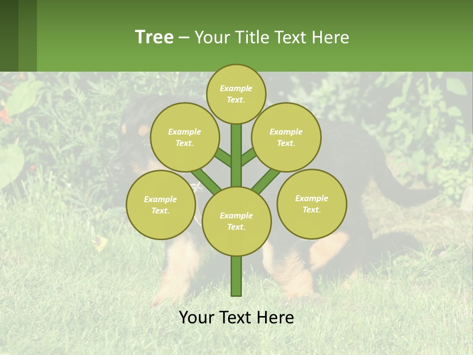 Sky Buy Human Hand PowerPoint Template