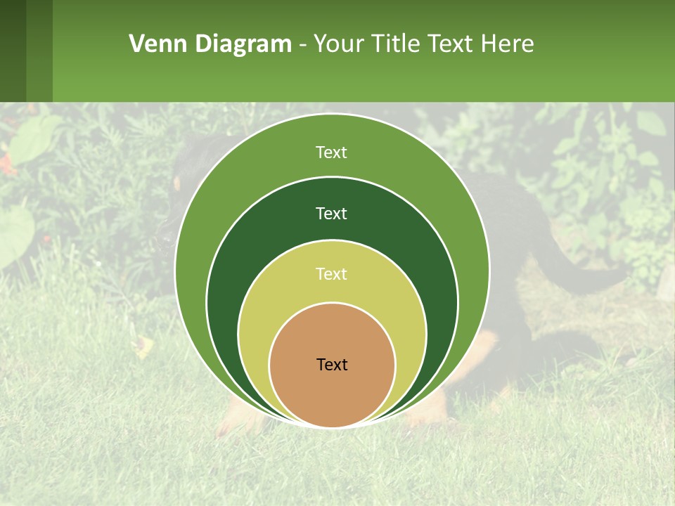 Sky Buy Human Hand PowerPoint Template