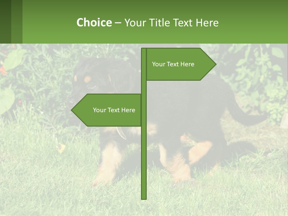 Sky Buy Human Hand PowerPoint Template