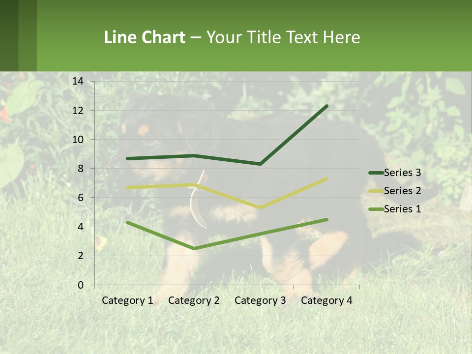Sky Buy Human Hand PowerPoint Template