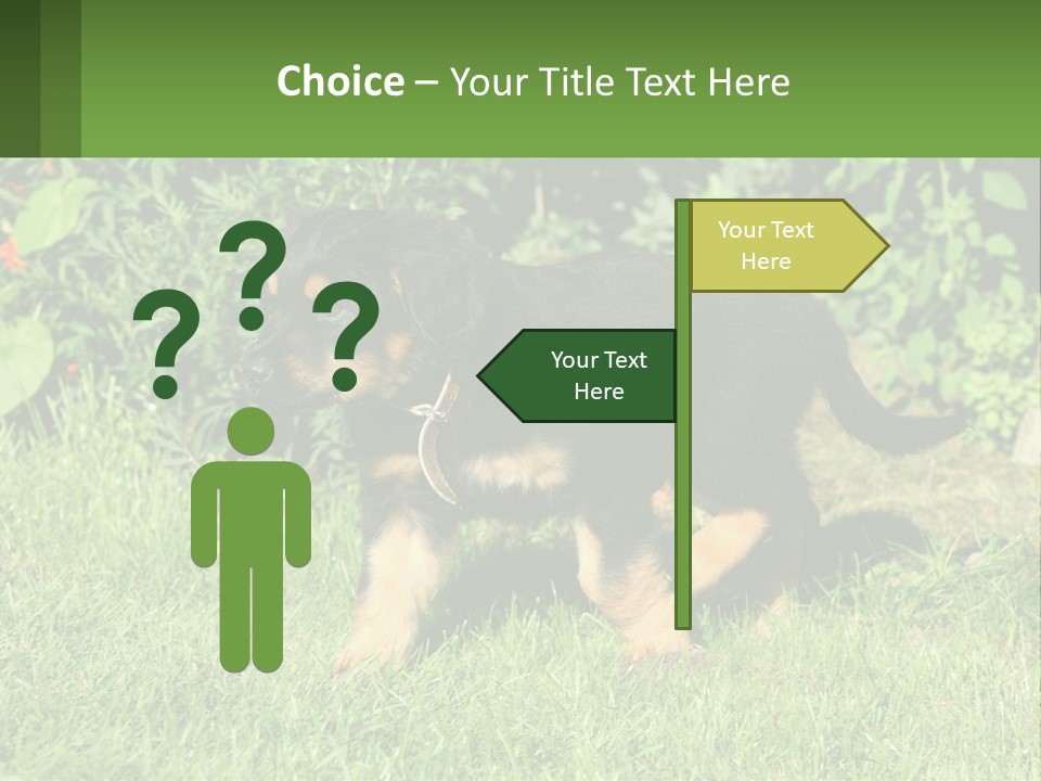 Sky Buy Human Hand PowerPoint Template