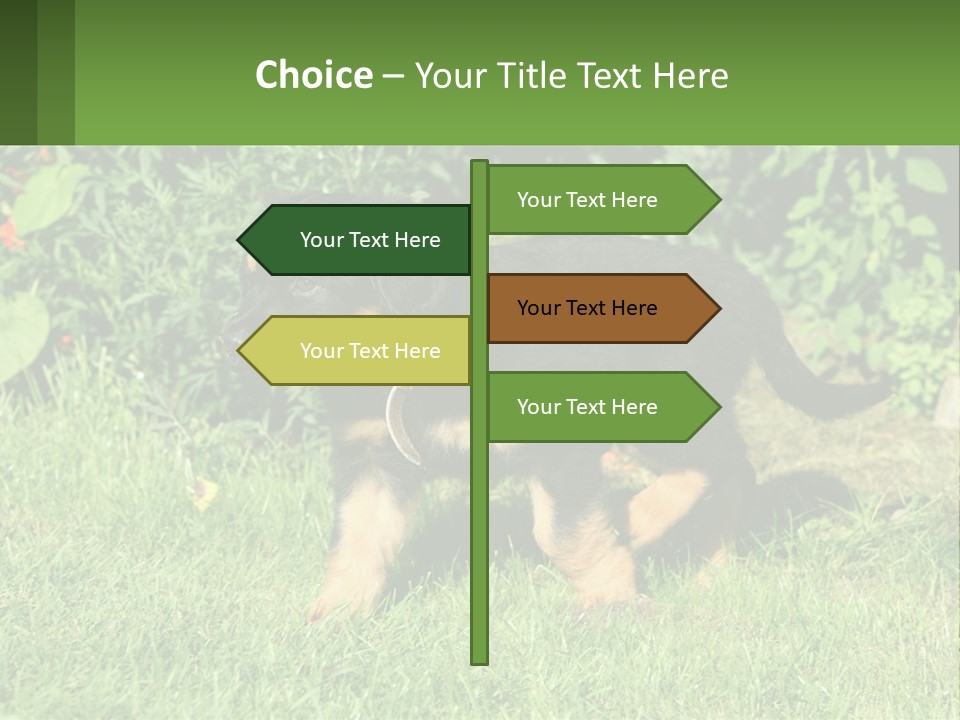 Sky Buy Human Hand PowerPoint Template