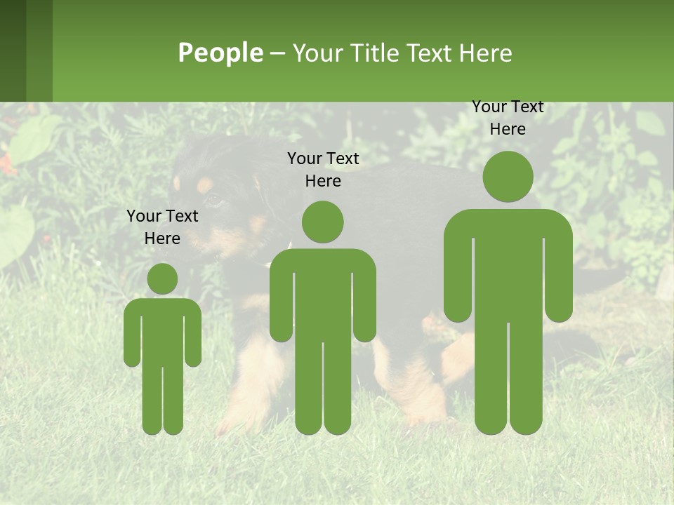 Sky Buy Human Hand PowerPoint Template