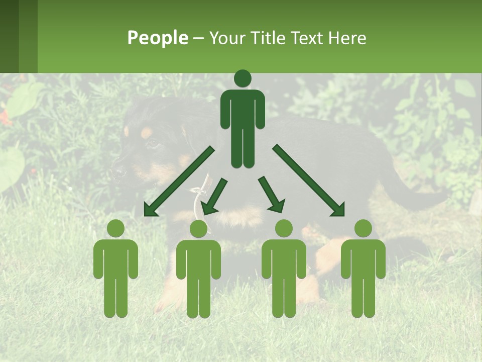 Sky Buy Human Hand PowerPoint Template