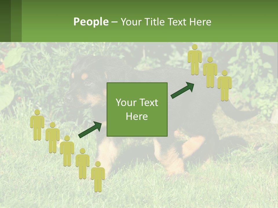 Sky Buy Human Hand PowerPoint Template