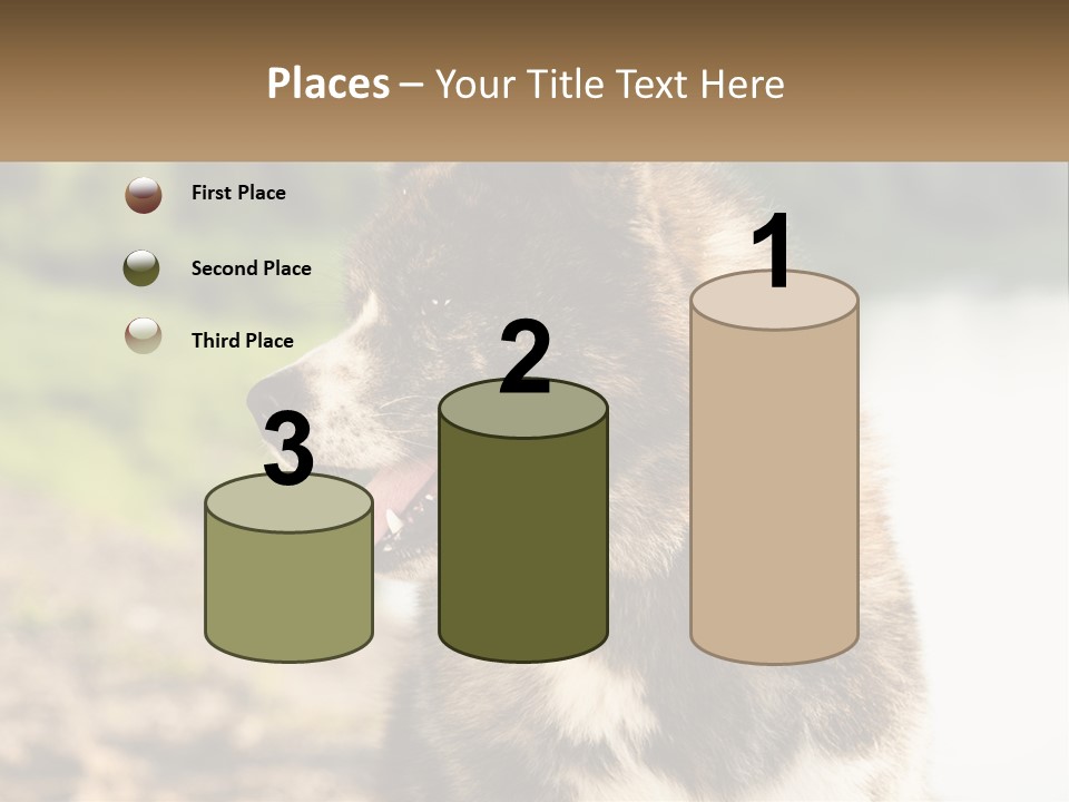 Construction Sale Lawn PowerPoint Template