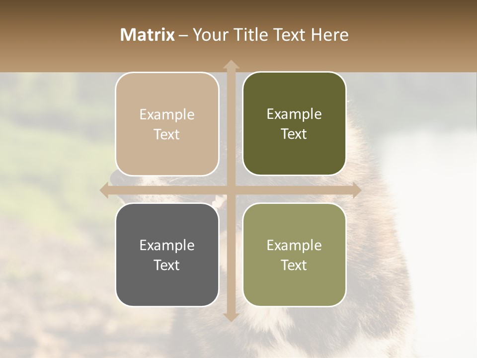 Construction Sale Lawn PowerPoint Template