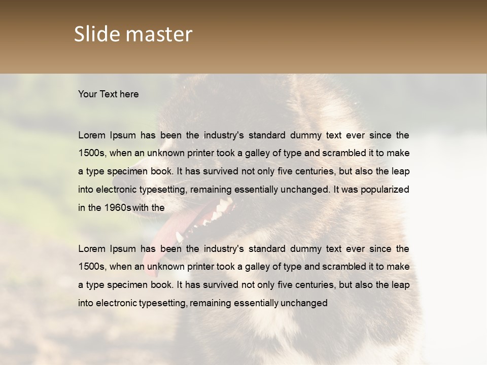 Construction Sale Lawn PowerPoint Template