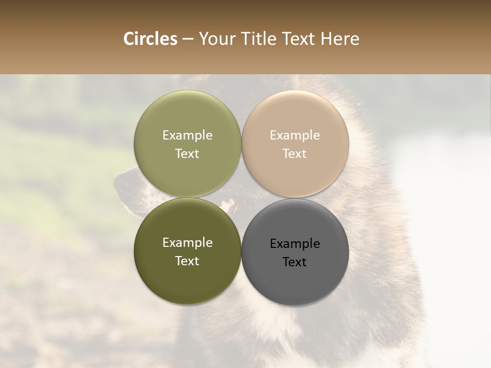 Construction Sale Lawn PowerPoint Template