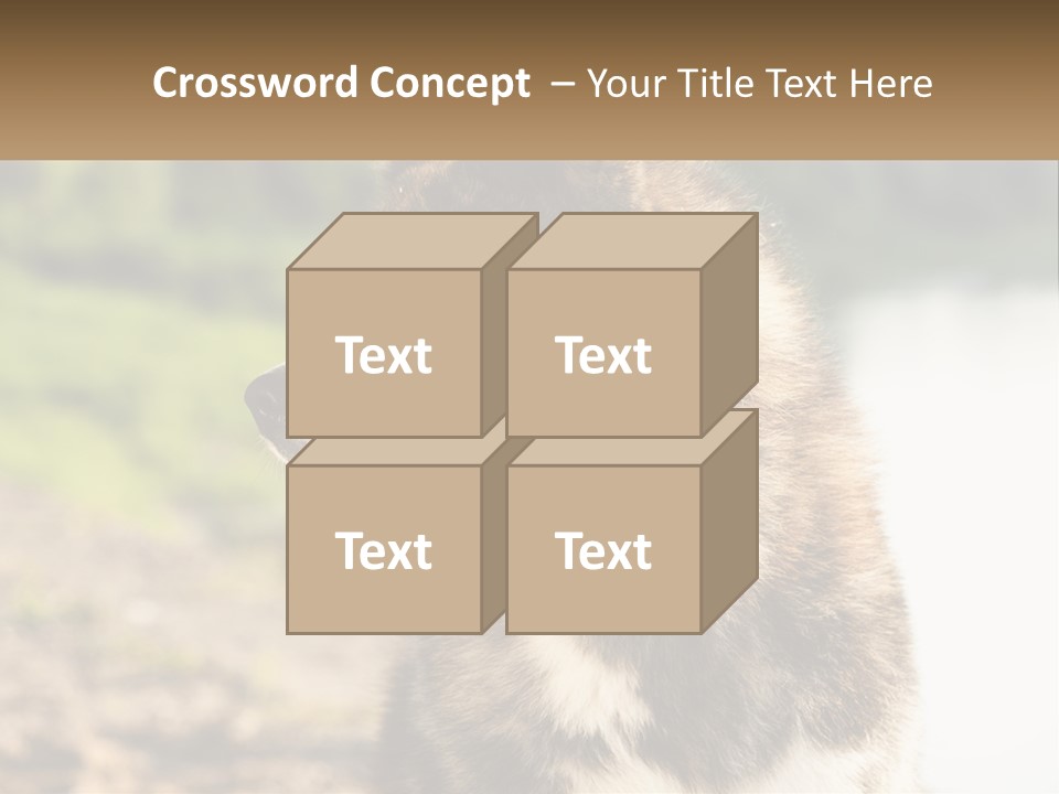 Construction Sale Lawn PowerPoint Template