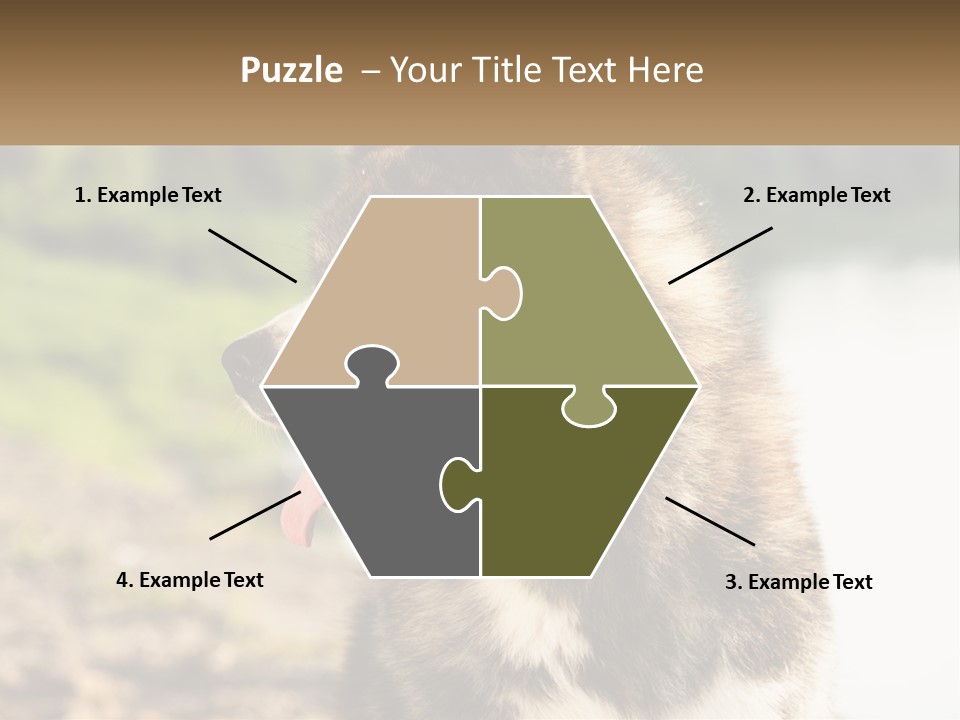 Construction Sale Lawn PowerPoint Template