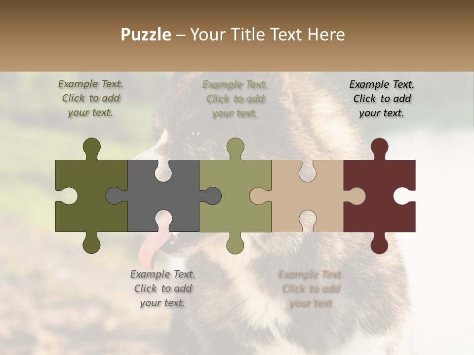 Construction Sale Lawn PowerPoint Template