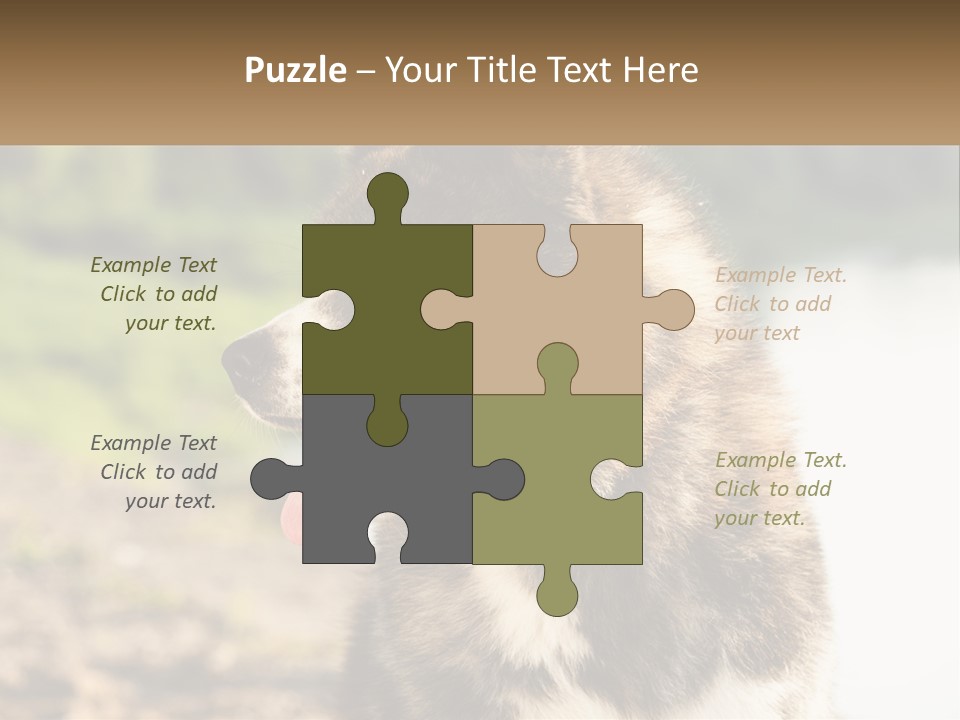 Construction Sale Lawn PowerPoint Template