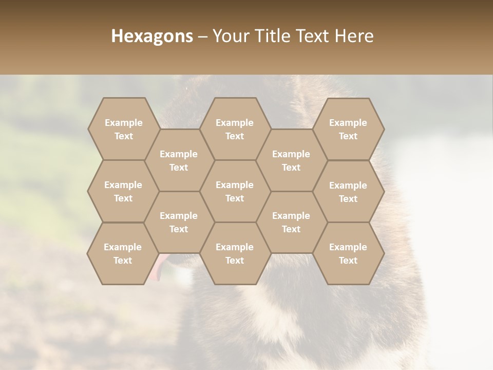 Construction Sale Lawn PowerPoint Template