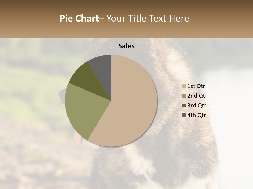 Construction Sale Lawn PowerPoint Template