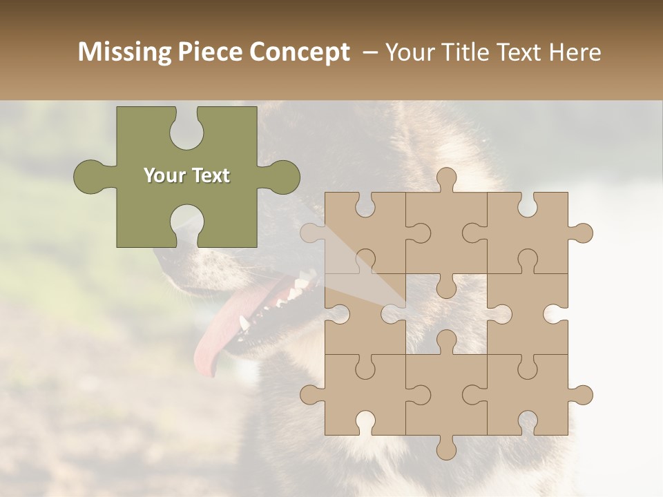 Construction Sale Lawn PowerPoint Template