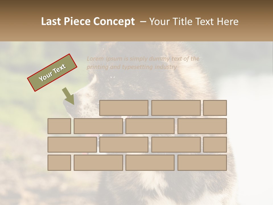 Construction Sale Lawn PowerPoint Template