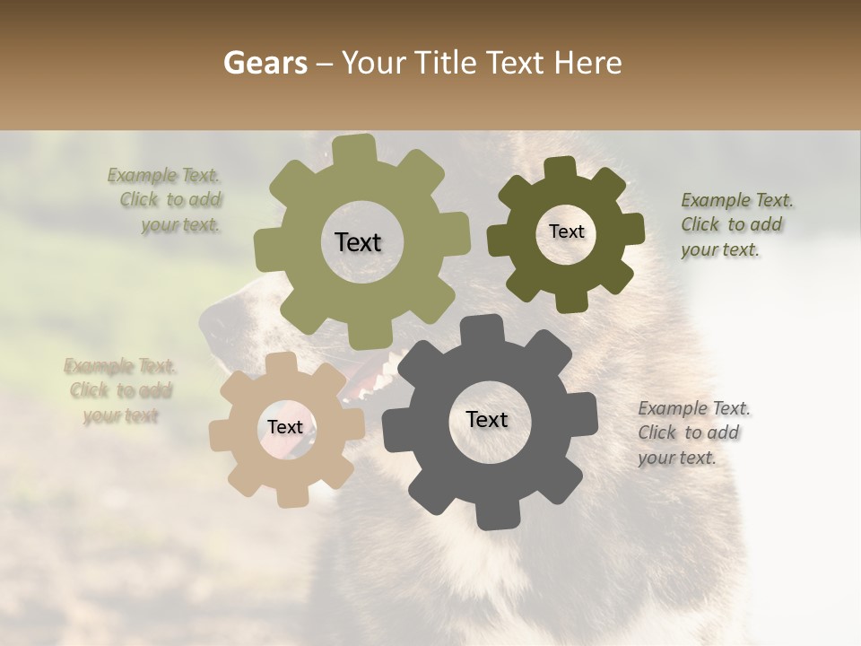 Construction Sale Lawn PowerPoint Template