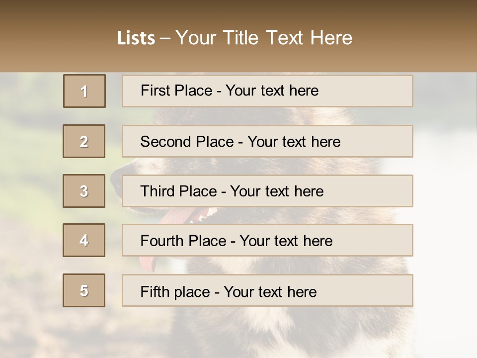 Construction Sale Lawn PowerPoint Template