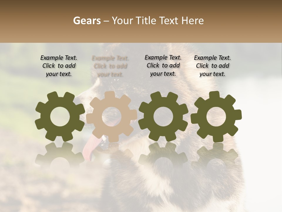 Construction Sale Lawn PowerPoint Template