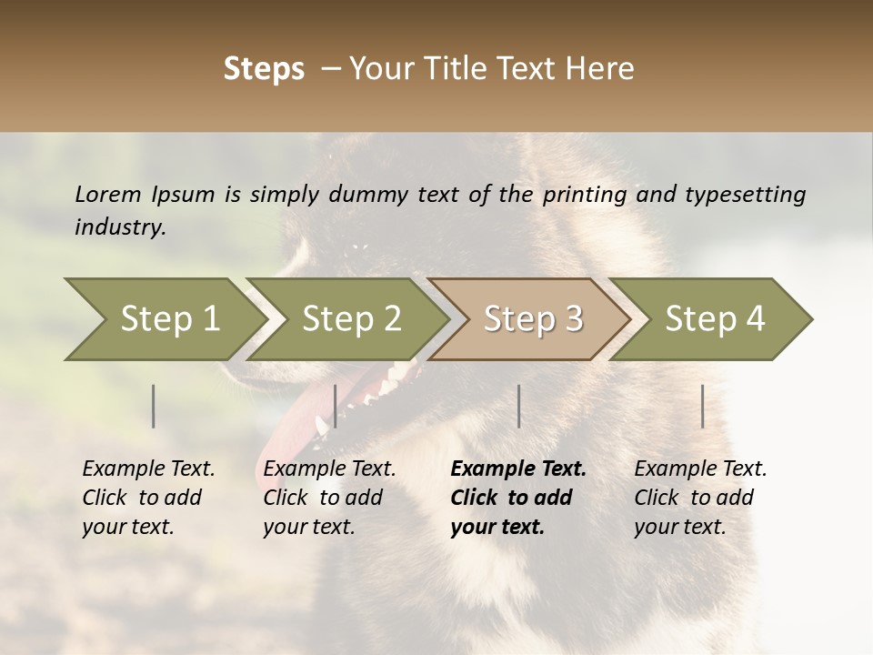 Construction Sale Lawn PowerPoint Template