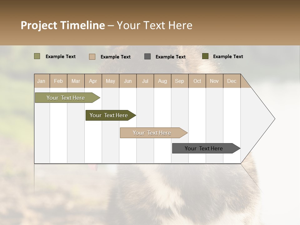 Construction Sale Lawn PowerPoint Template