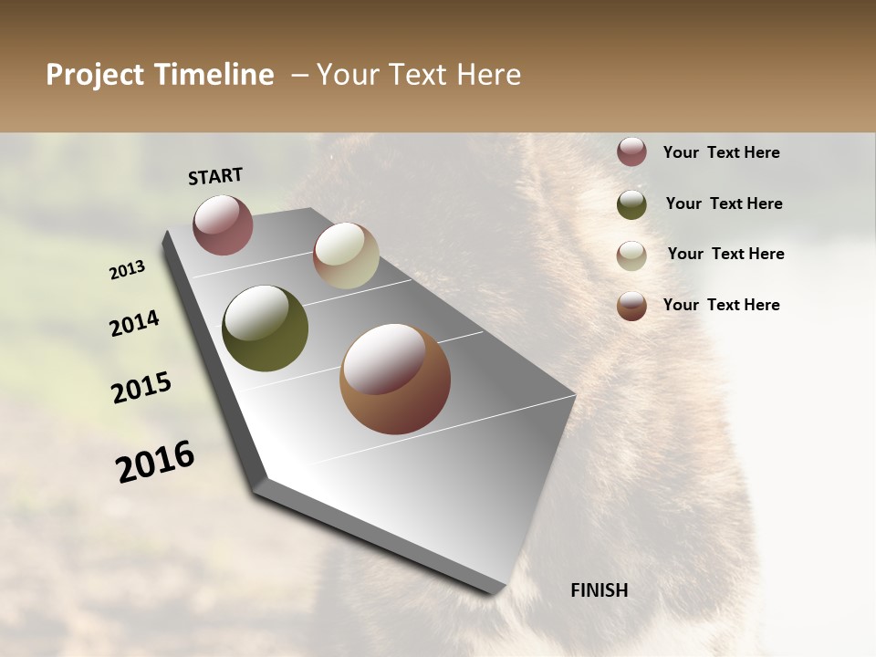 Construction Sale Lawn PowerPoint Template
