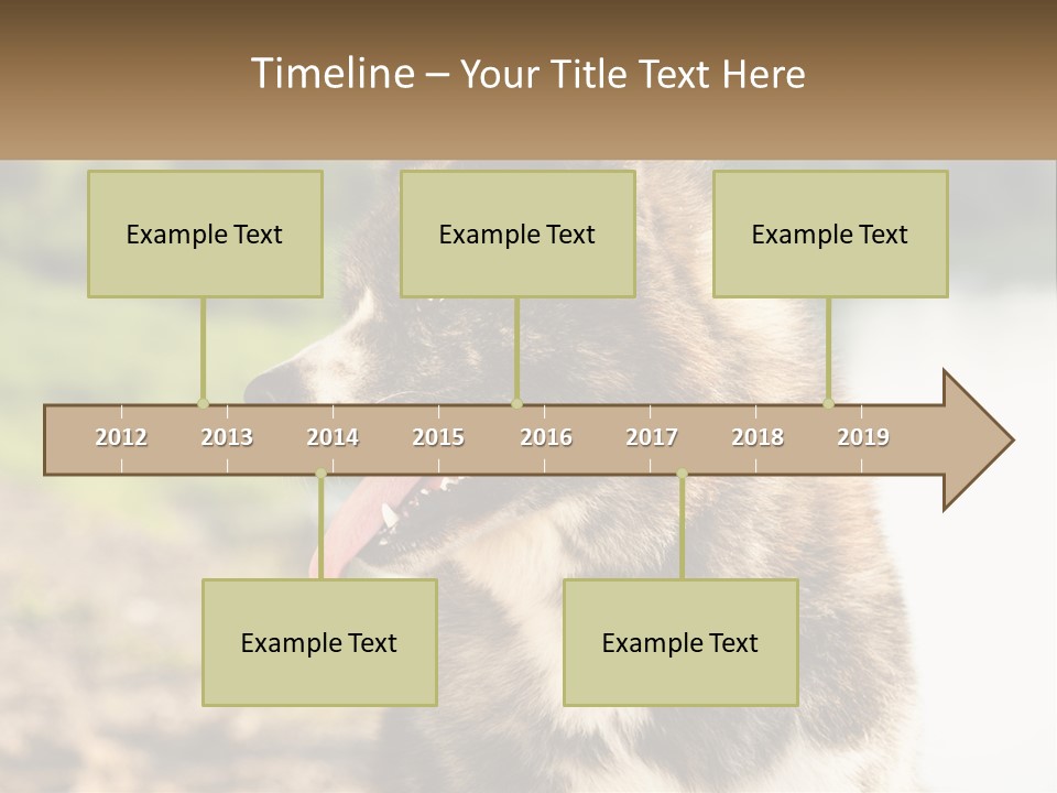 Construction Sale Lawn PowerPoint Template