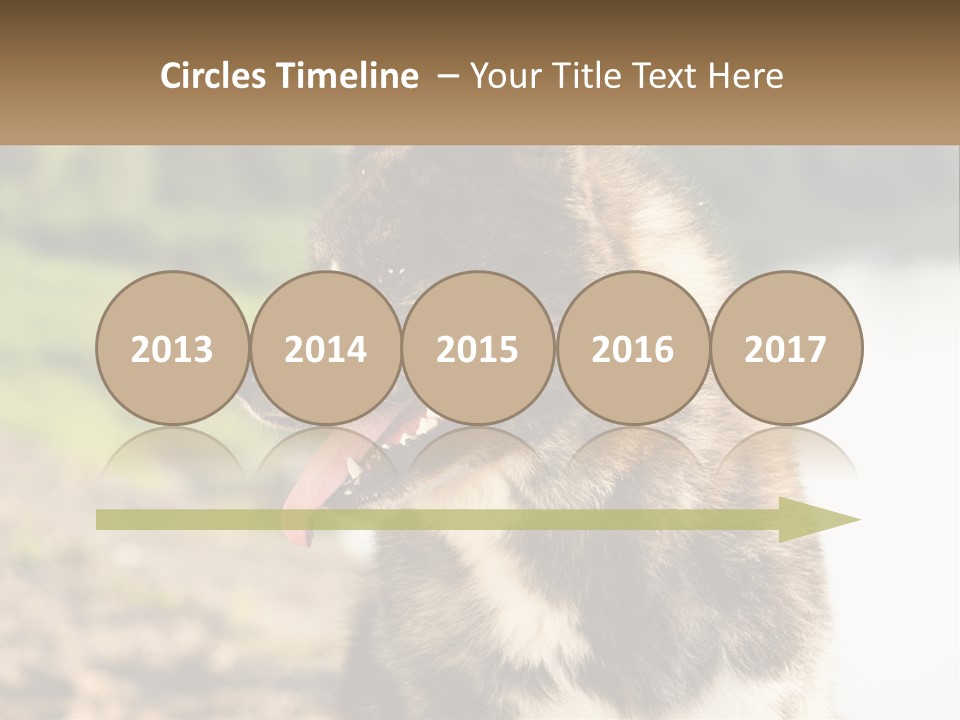 Construction Sale Lawn PowerPoint Template