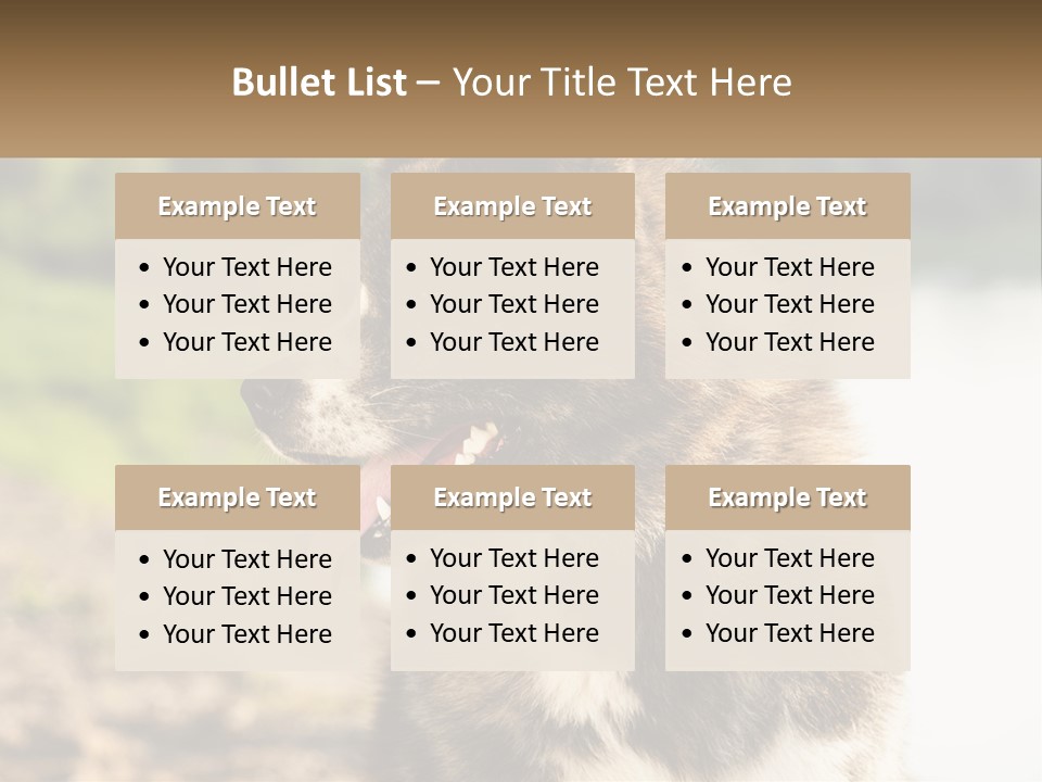 Construction Sale Lawn PowerPoint Template