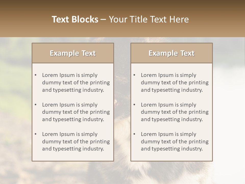Construction Sale Lawn PowerPoint Template