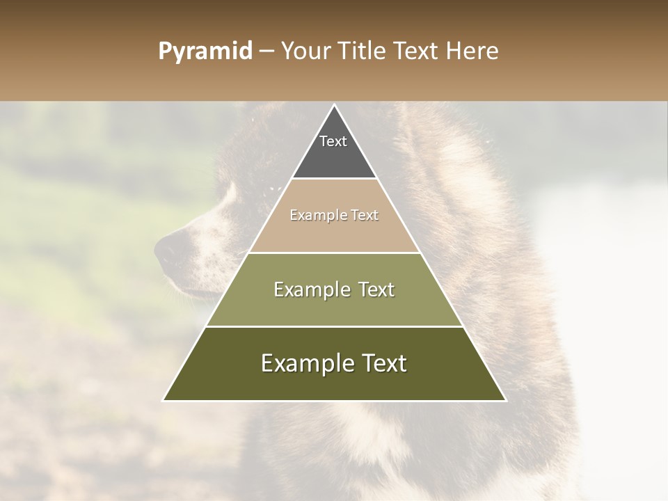 Construction Sale Lawn PowerPoint Template