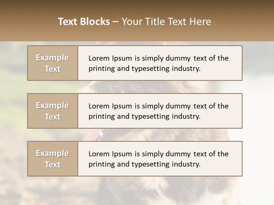 Construction Sale Lawn PowerPoint Template