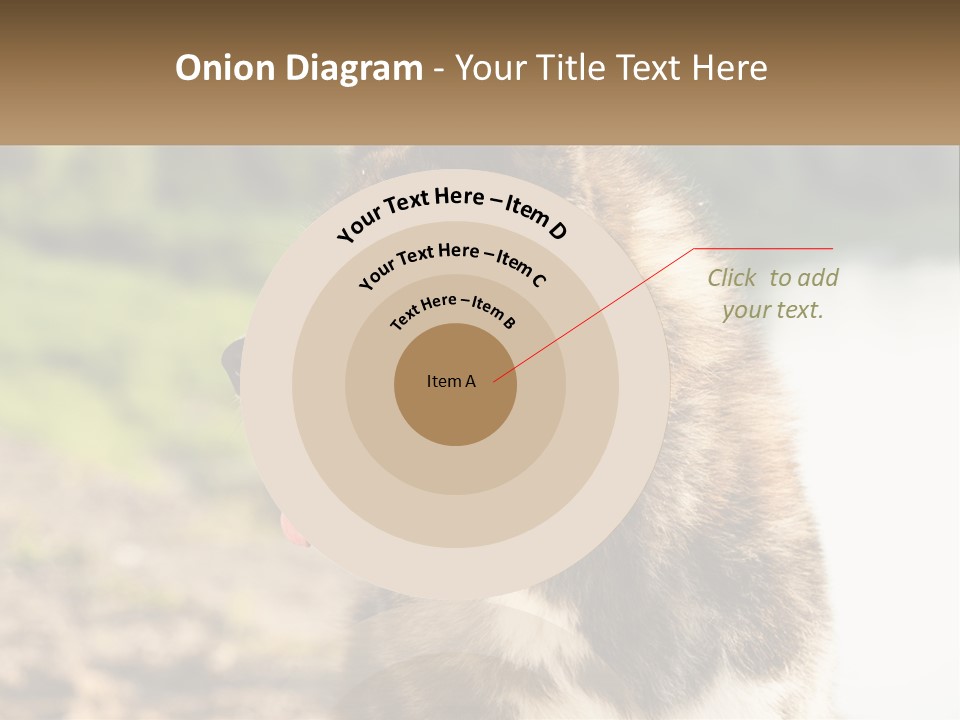 Construction Sale Lawn PowerPoint Template