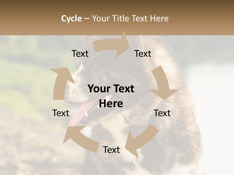 Construction Sale Lawn PowerPoint Template