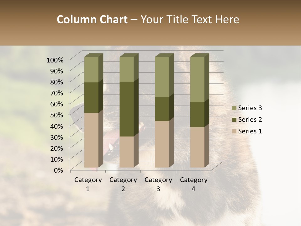 Construction Sale Lawn PowerPoint Template