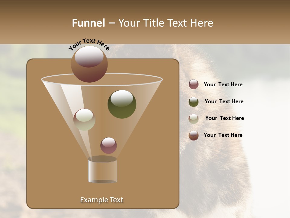 Construction Sale Lawn PowerPoint Template