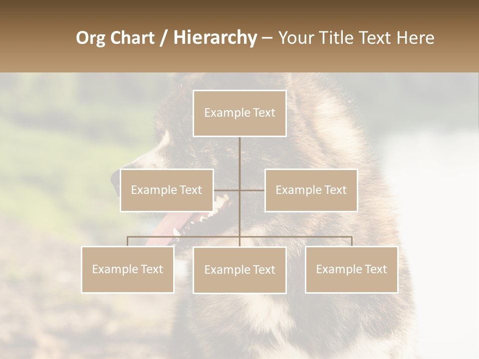 Construction Sale Lawn PowerPoint Template