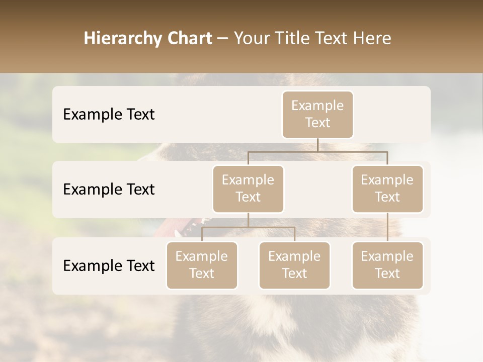 Construction Sale Lawn PowerPoint Template